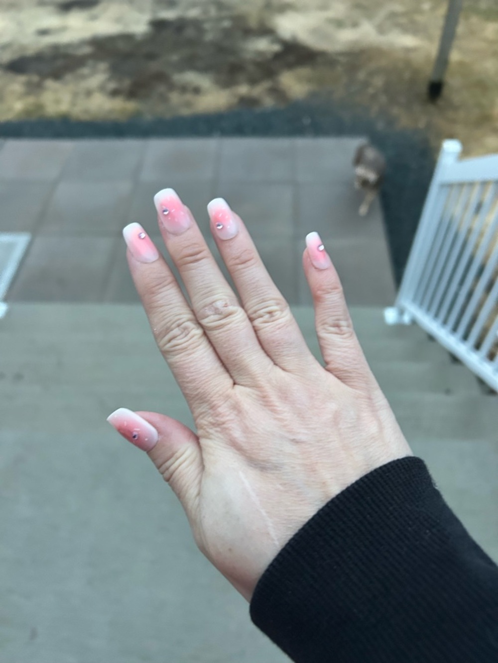 Set of five different MOYNE Nail Art Set with glue